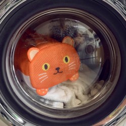 Gatto borsa per il bucato
