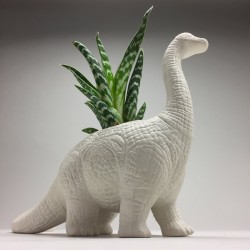 Vaso Brontosauro