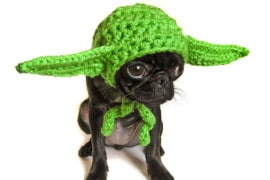 cappello-yoda-animali