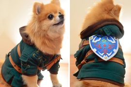 costume-per-cani-zelda