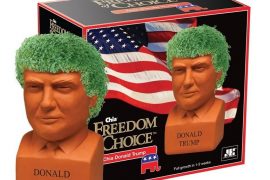 capelli-donald-trump