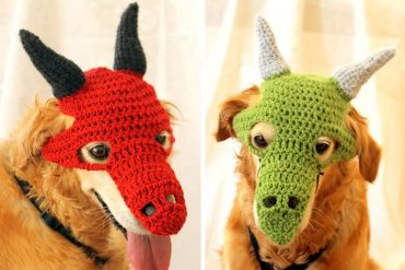 Costume per cane: Drago