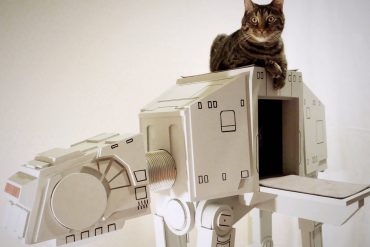 Quali sono i più strani gadget per cani e gatti? 